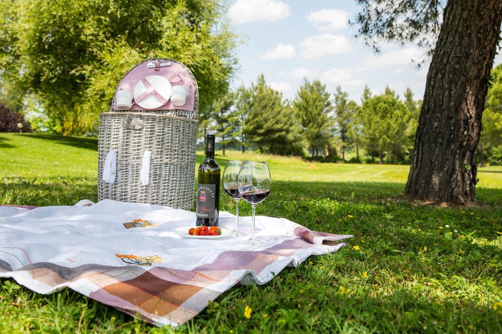 Agriturismo Colleverde Selvatelle Экстерьер фото
