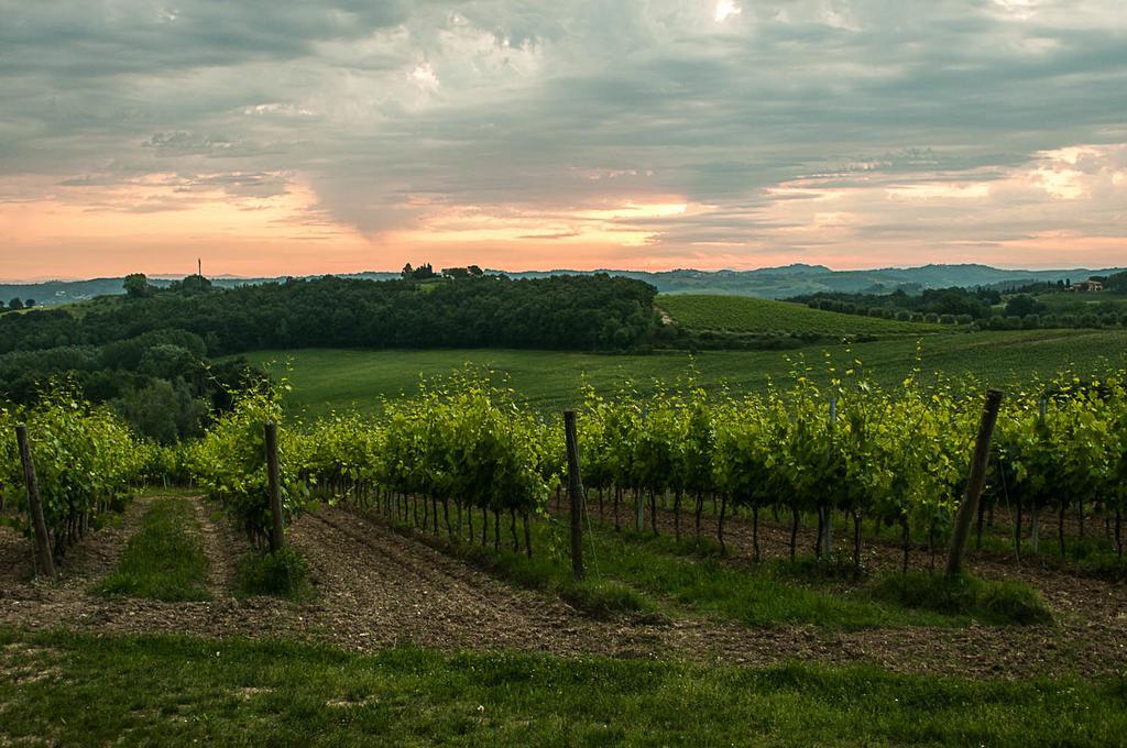 Agriturismo Colleverde Selvatelle Экстерьер фото