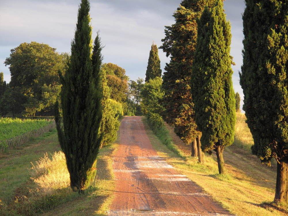 Agriturismo Colleverde Selvatelle Экстерьер фото
