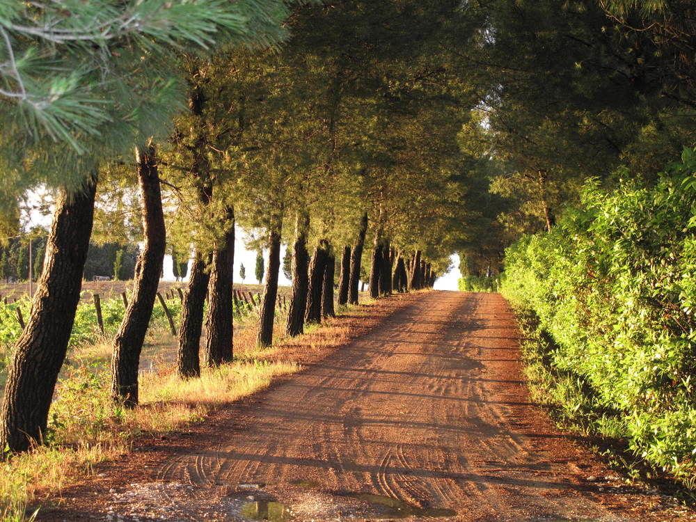 Agriturismo Colleverde Selvatelle Экстерьер фото