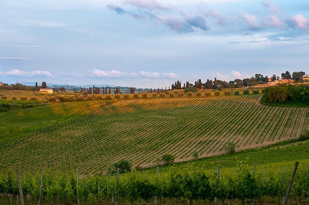 Agriturismo Colleverde Selvatelle Экстерьер фото
