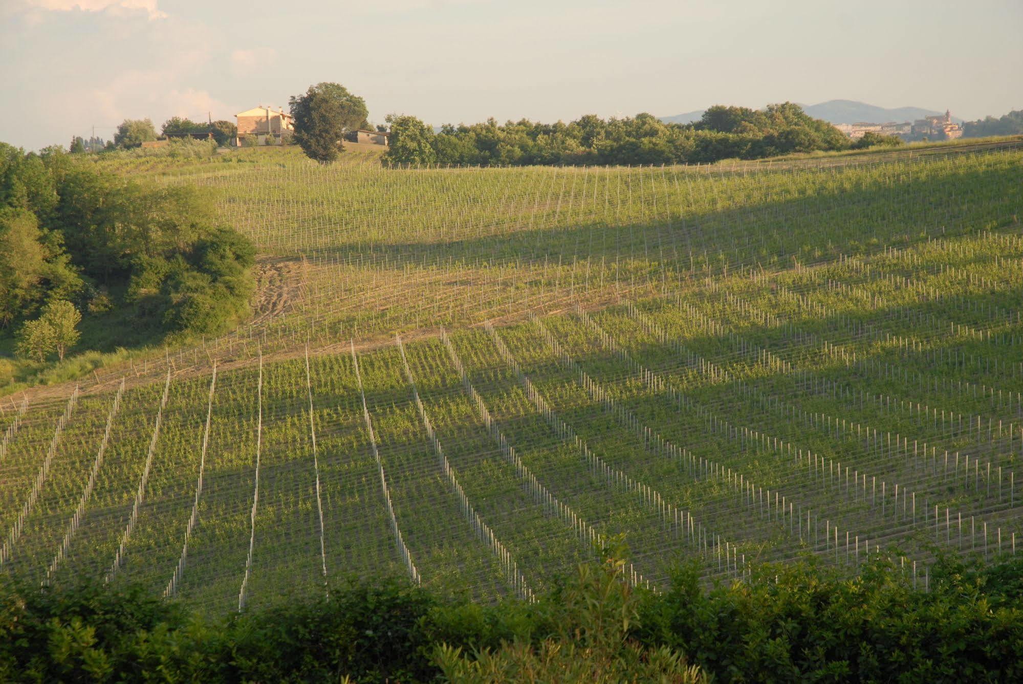 Agriturismo Colleverde Selvatelle Экстерьер фото