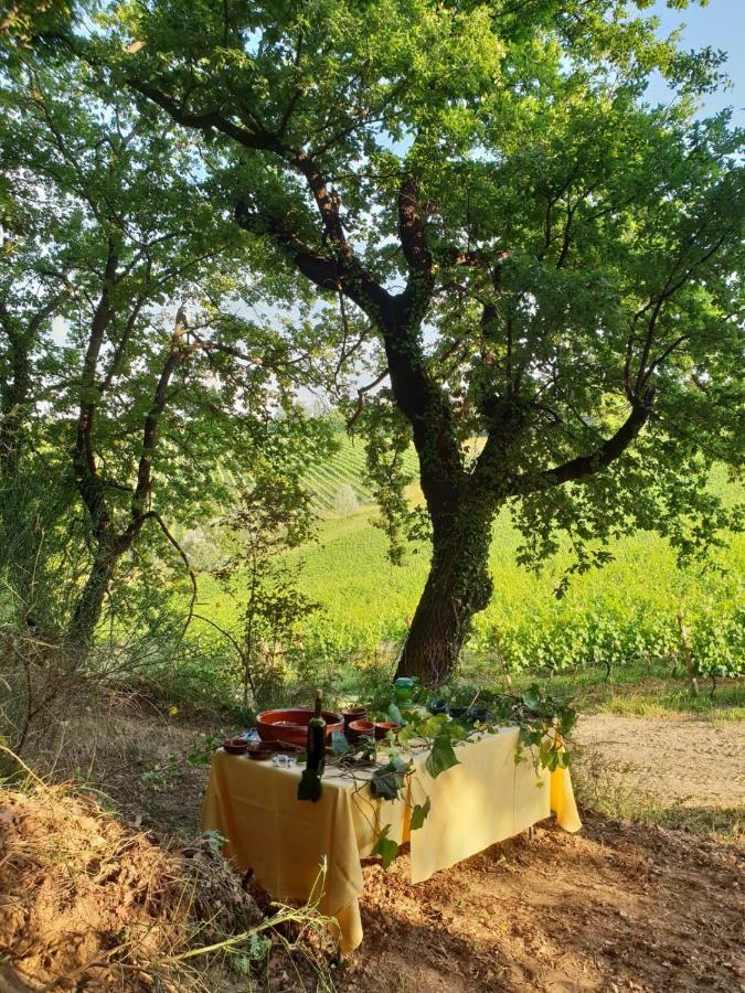 Agriturismo Colleverde Selvatelle Экстерьер фото
